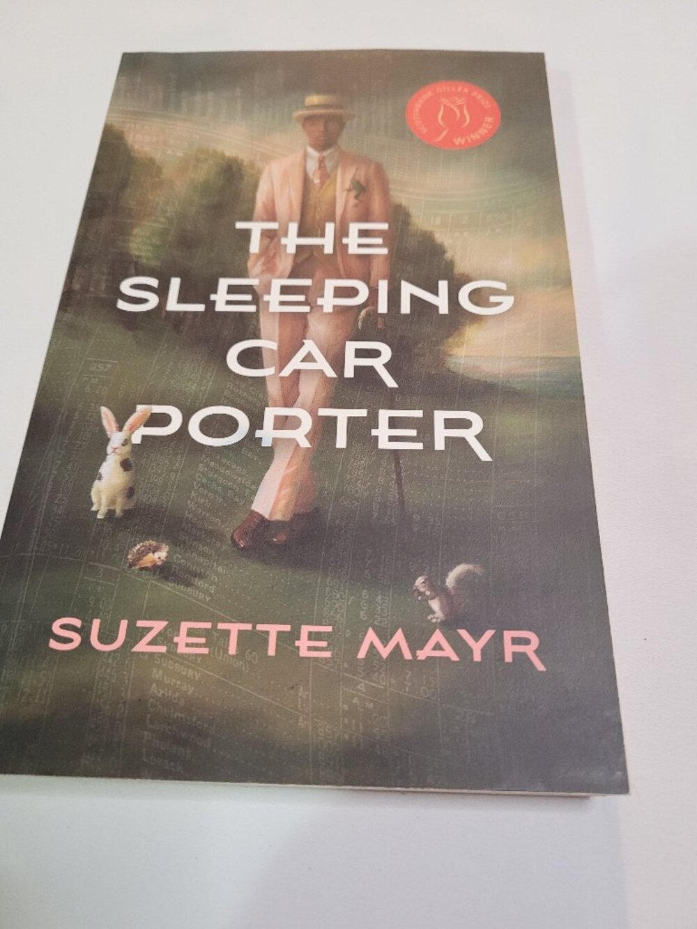 The Sleeping Car Porter by Suzette Mayr Paperback Literary Fiction Novel